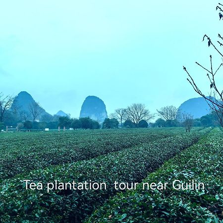 Guilin Village Creek Inn-Free Private Car Pick Up Station Stay 3 Nights Extérieur photo