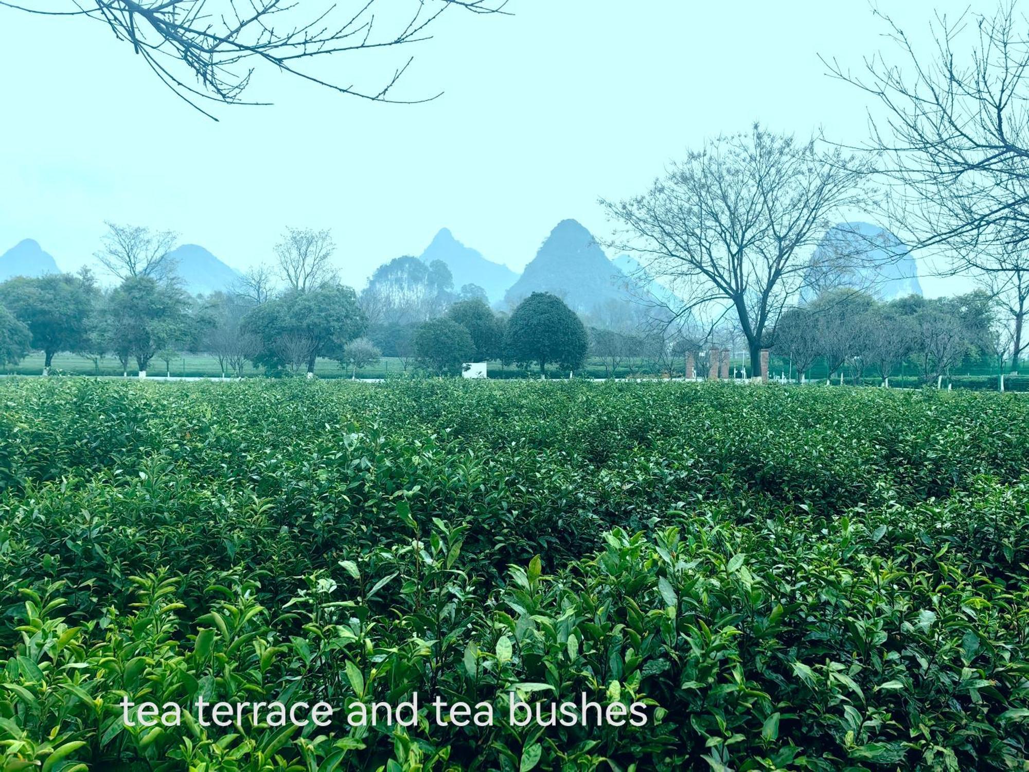 Guilin Village Creek Inn-Free Private Car Pick Up Station Stay 3 Nights Extérieur photo